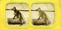 Homme revêtu d'une peau de singe (Man dressed in a monkey skin) 