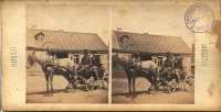 Russie - Moscou  Attelage, voiture russe, voiture de place (Russia - Moscow.  Hamessing) 