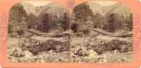 « Vues d'Auvergne.  36 - Ravin de la Dore, au fond de la vallée du Mont Doré ». Tirage Ernest Lamy. (Auvergne. View of the ravin of the Dore, at the back of the Mont-Dore valley. Edited by Ernest Lamy) 