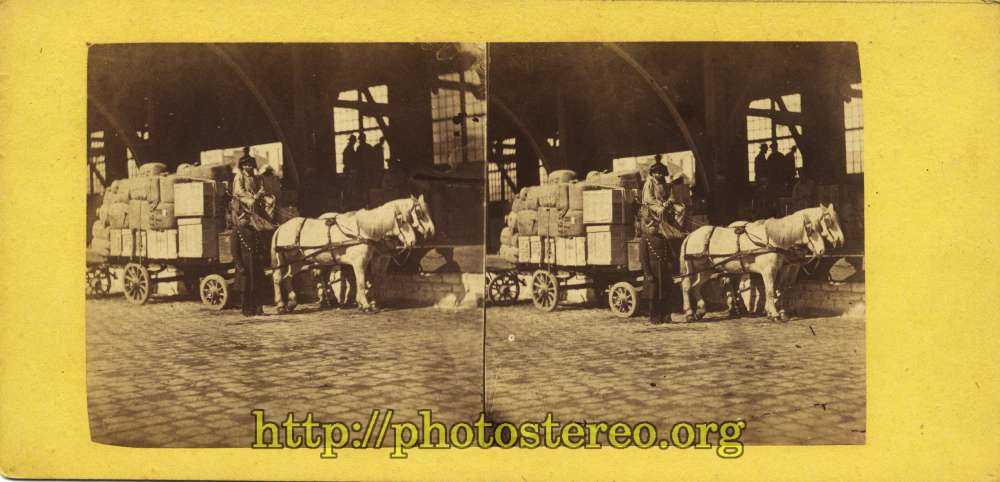 Attelage de transport de marchandises (Harnessing of horses for goods.) 