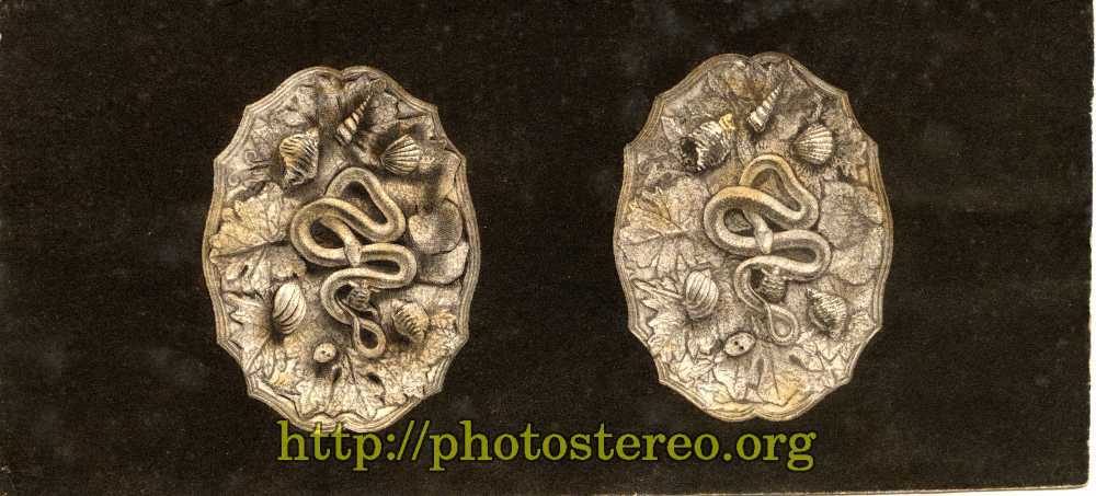 Bas relief. Serpents et coquillages (Bas Relief, snake and shellfish) 