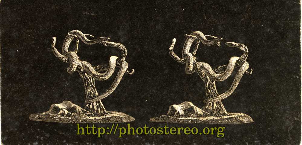 Sculpture : Serpent enroulé autour d'une souche (Sculpture: Snake wrapped around a strain) 